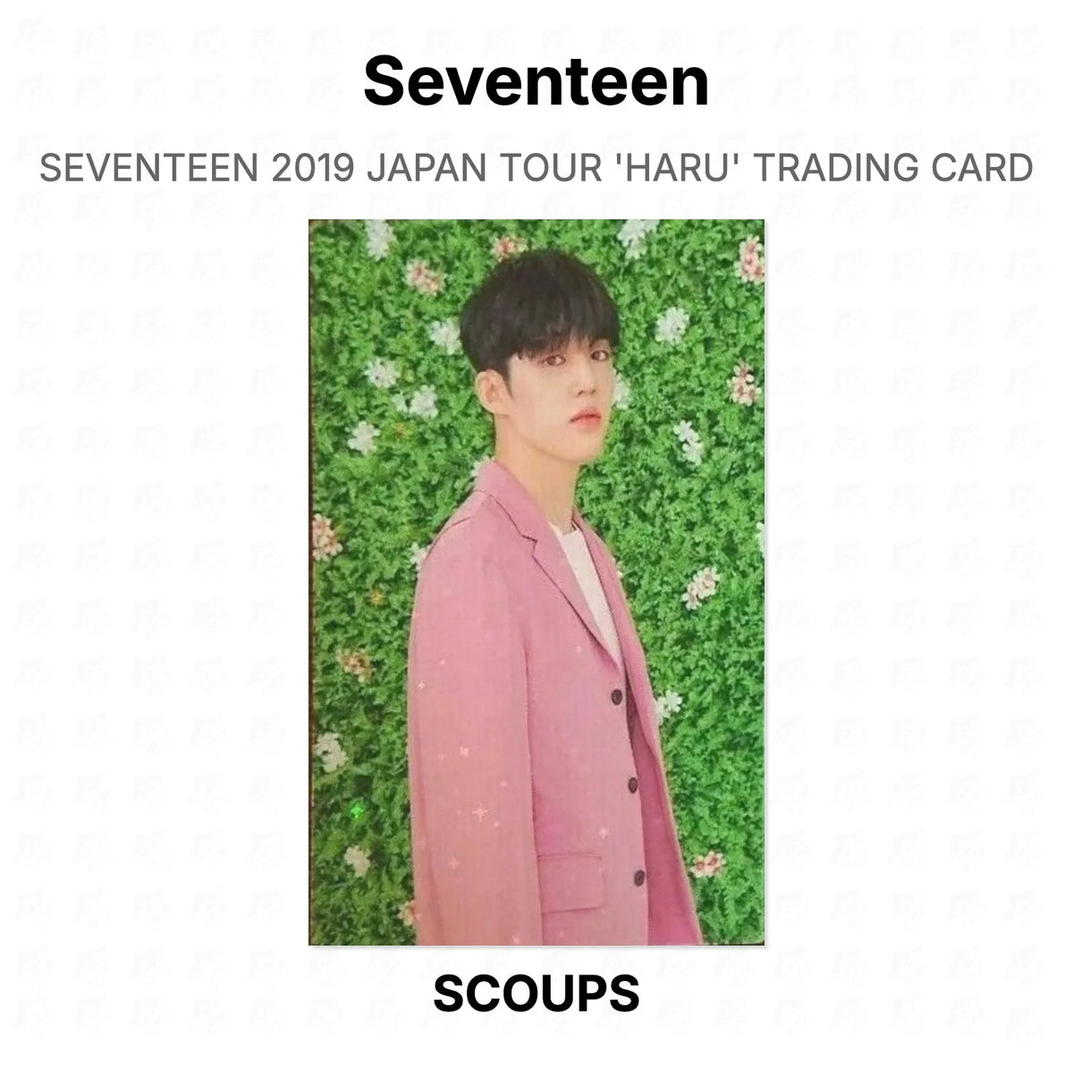 Seventeen 2019 JAPAN TOUR 'HARU' TRADING CARD Official Photocard