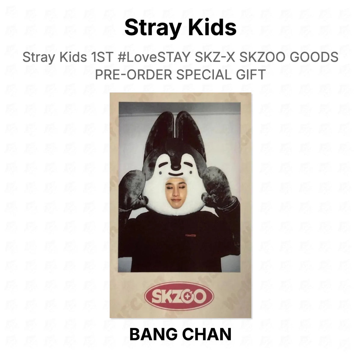 Stray Kids 1ST #LoveSTAY SKZ-X SKZOO GOODS PRE-ORDER SPECIAL GIFT Official Photocard
