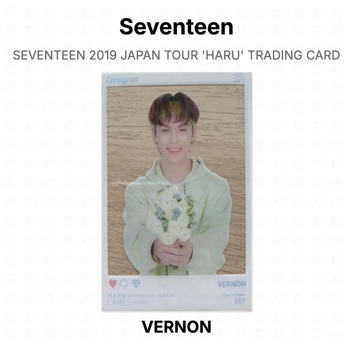 Seventeen 2019 JAPAN TOUR 'HARU' TRADING CARD Official Photocard