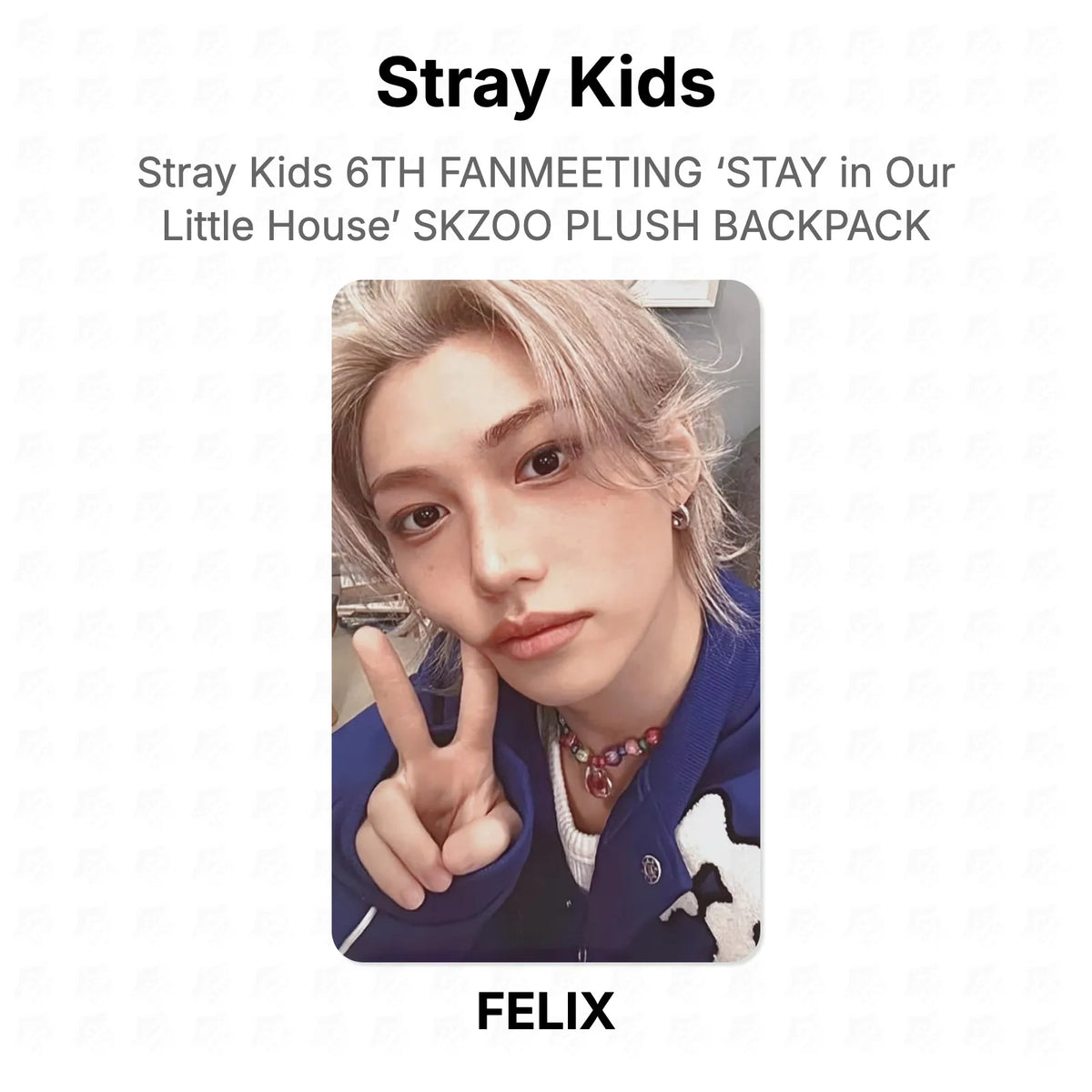 Stray Kids 6TH FANMEETING ‘STAY in Our Little House’ SKZOO PLUSH BACKPACK Official Photocard