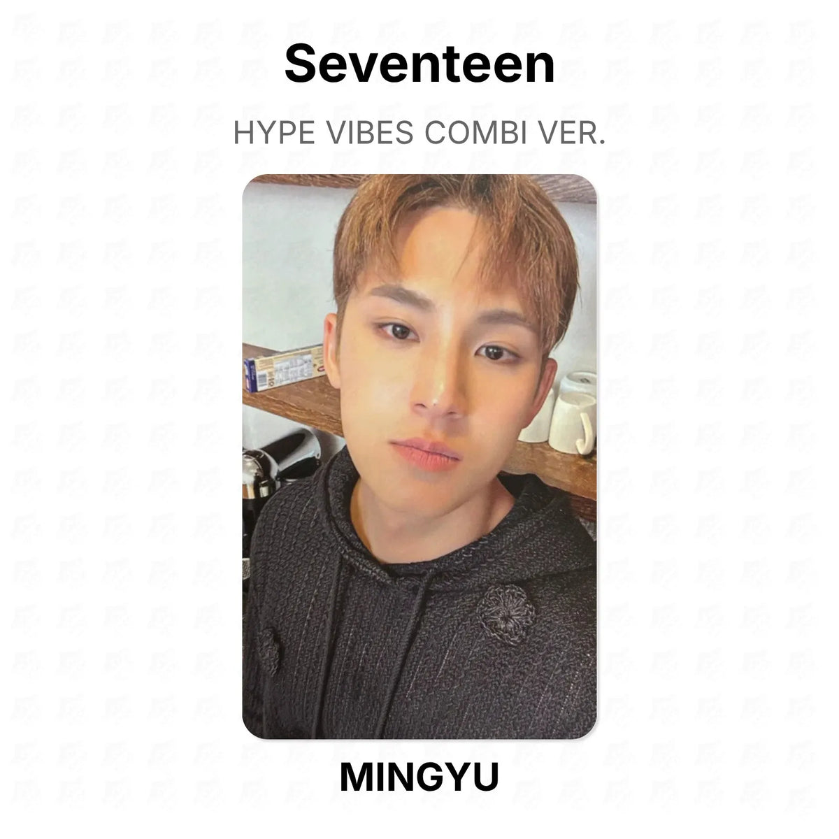Seventeen HYPE VIBES COMBI VER. Official Photocard