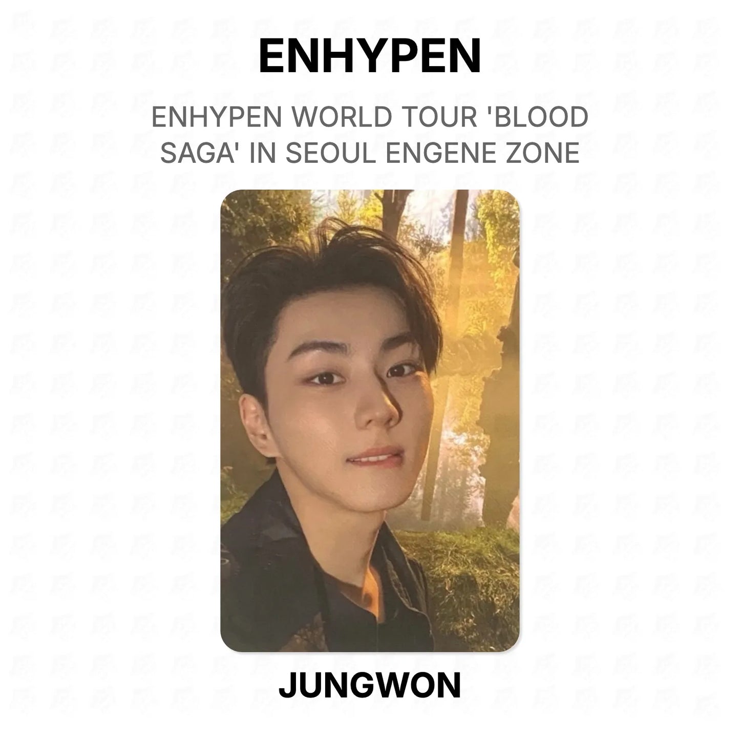 ENHYPEN WORLD TOUR 'BLOOD SAGA' IN SEOUL ENGENE ZONE Official Photocard