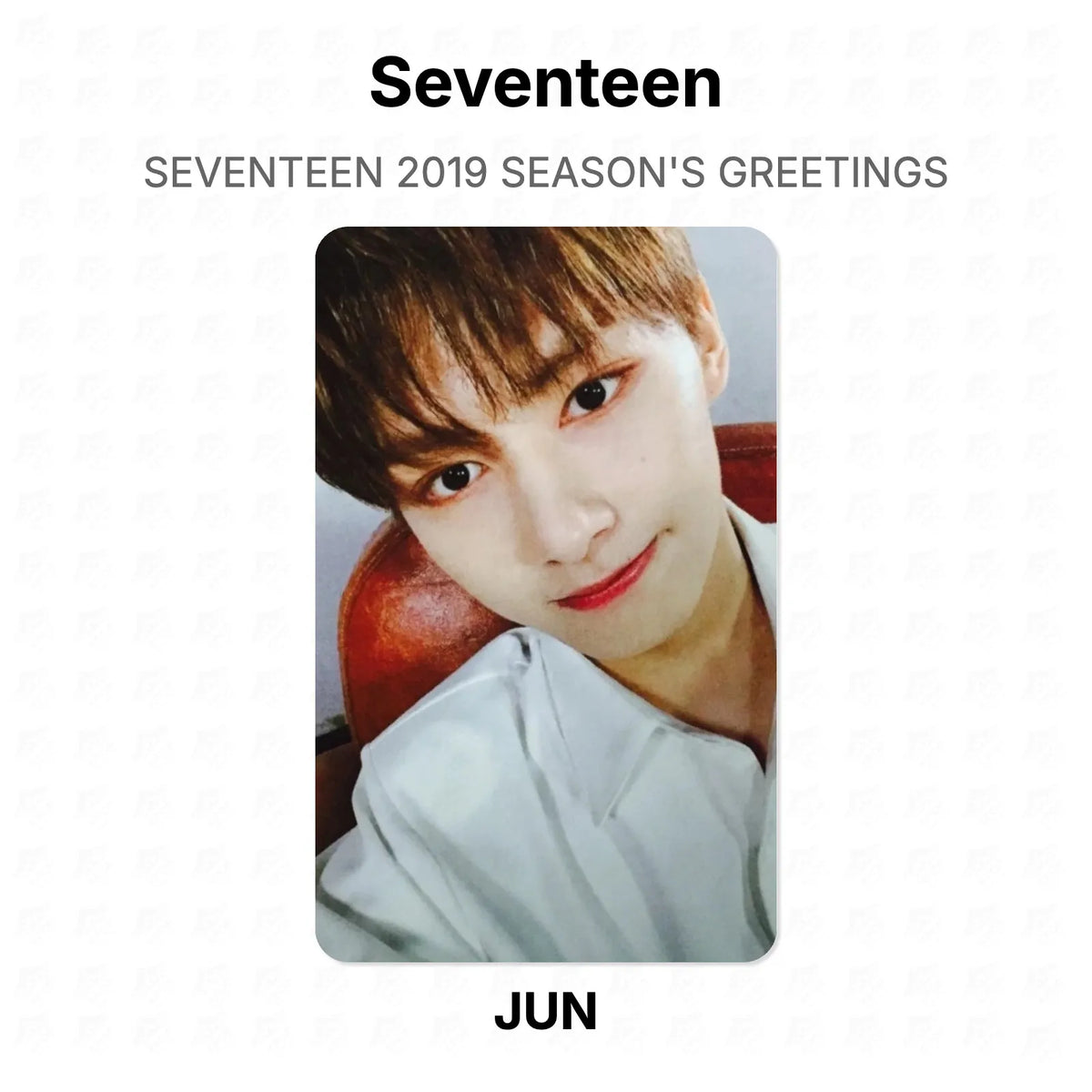 Seventeen 2019 SEASON'S GREETINGS Official Photocard