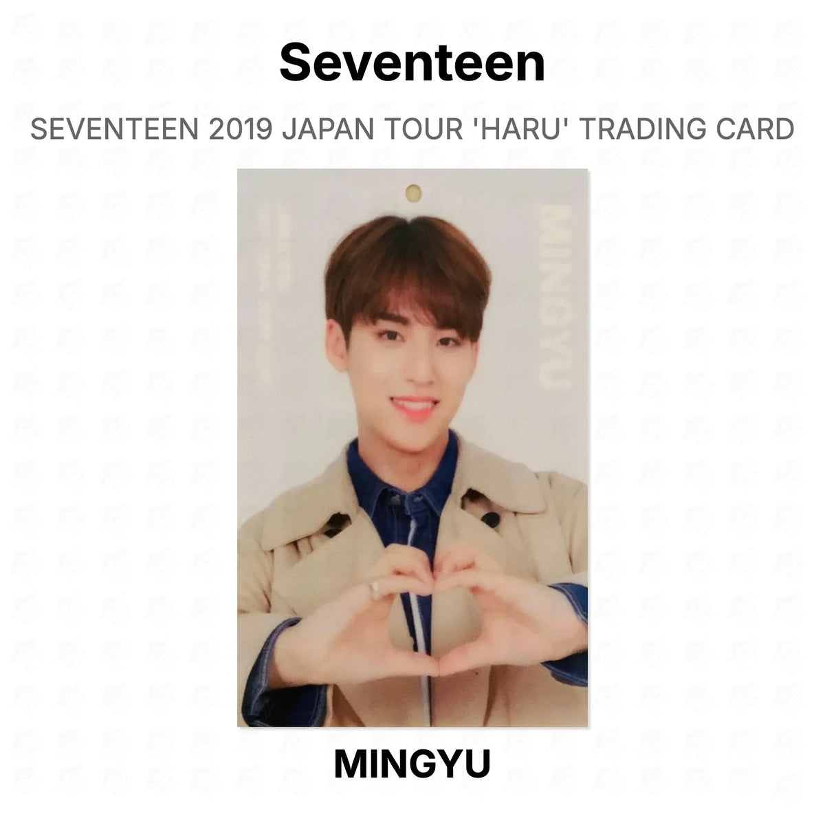 Seventeen 2019 JAPAN TOUR 'HARU' TRADING CARD Official Photocard