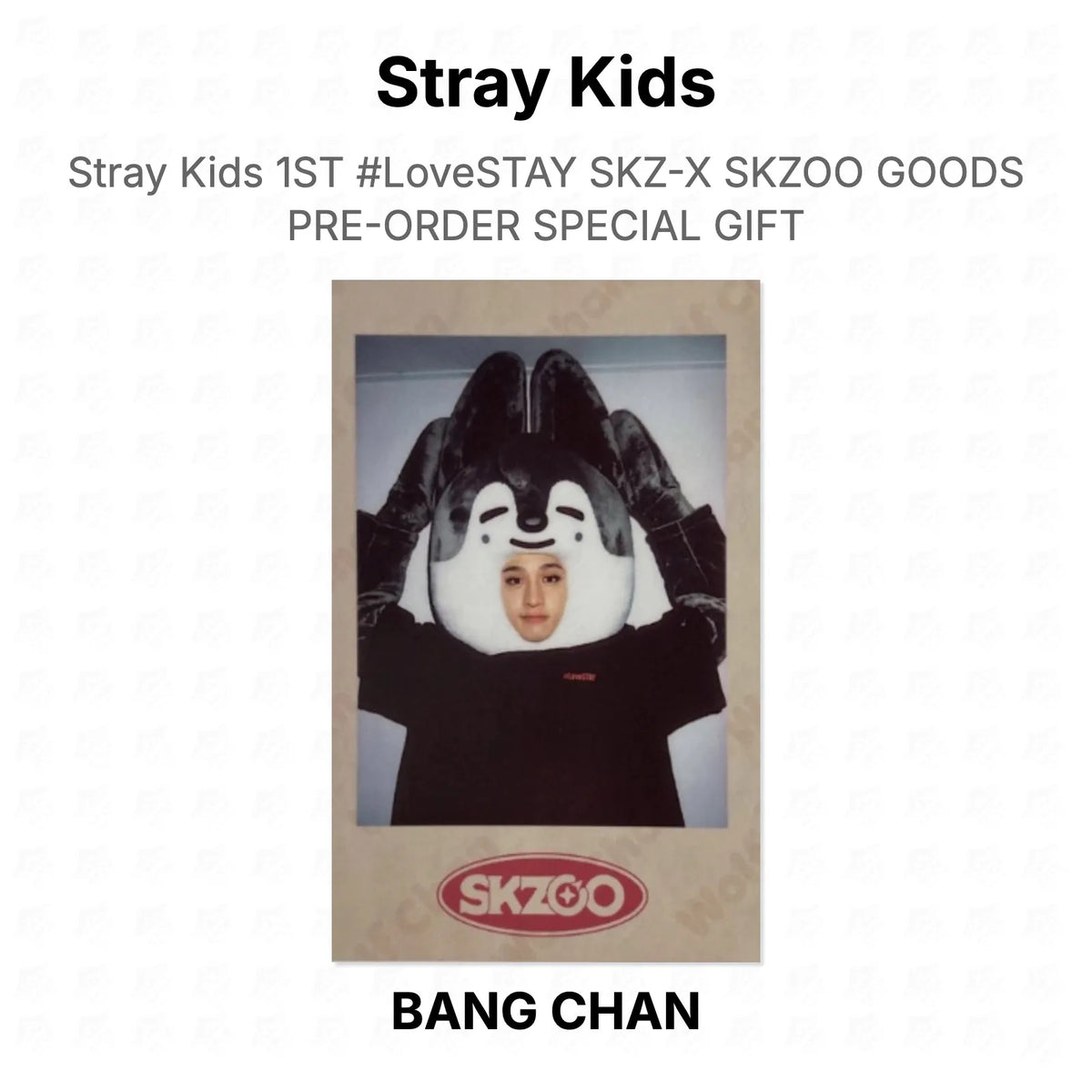 Stray Kids 1ST #LoveSTAY SKZ-X SKZOO GOODS PRE-ORDER SPECIAL GIFT Official Photocard