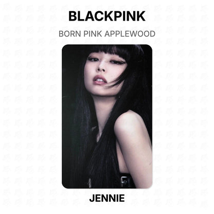 BLACKPINK BORN PINK APPLEWOOD Official Photocard