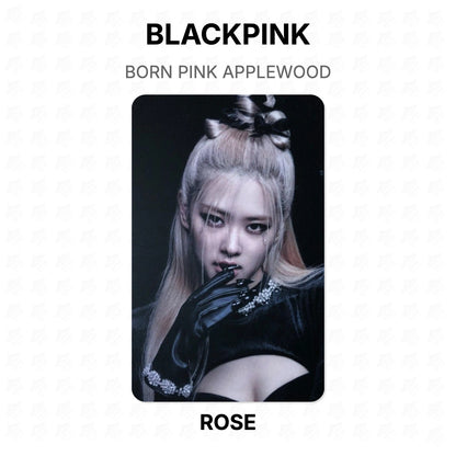 BLACKPINK BORN PINK APPLEWOOD Official Photocard