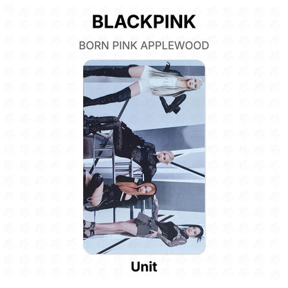 BLACKPINK BORN PINK APPLEWOOD Official Photocard
