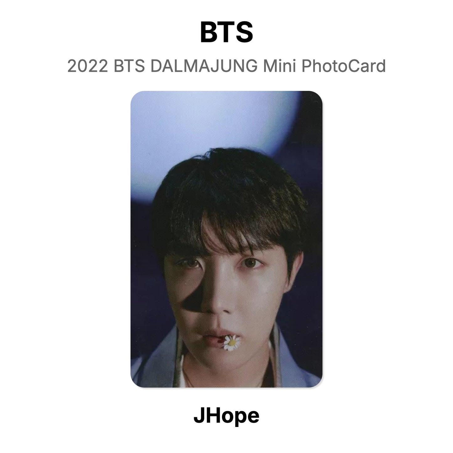 BTS 2022 BTS DALMAJUNG Mini PhotoCard Official Photocard