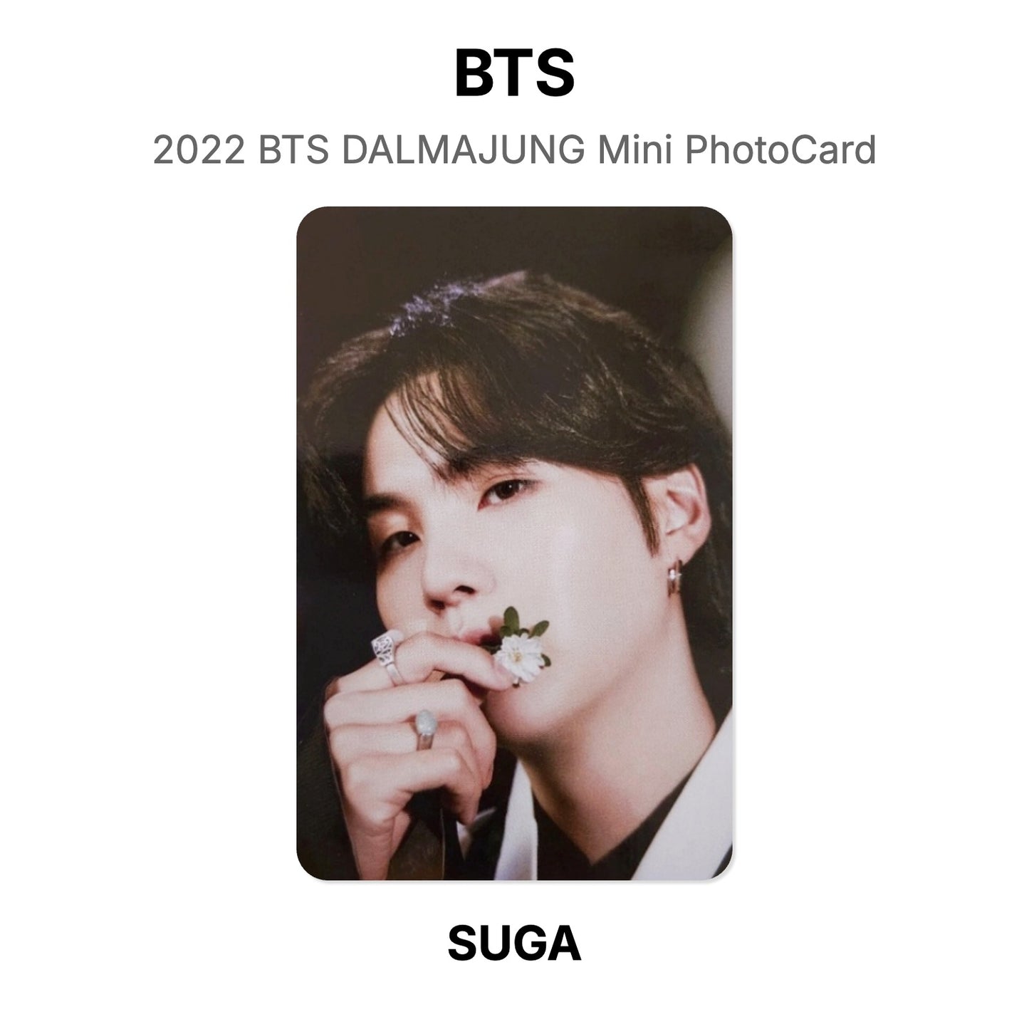 BTS 2022 BTS DALMAJUNG Mini PhotoCard Official Photocard