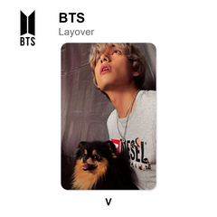 V 12