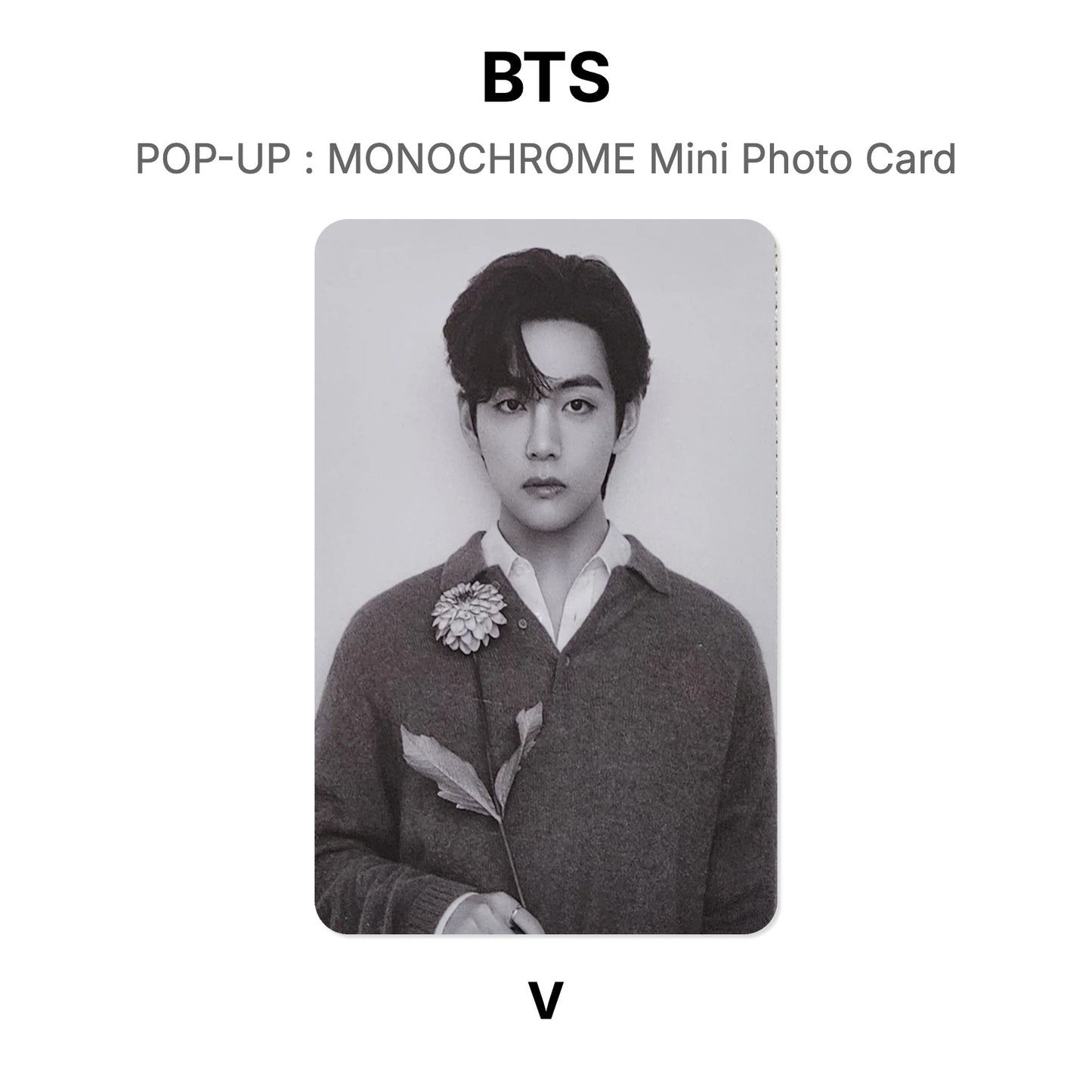 BTS POP-UP : MONOCHROME Mini Photo Card Offizielle Photocard