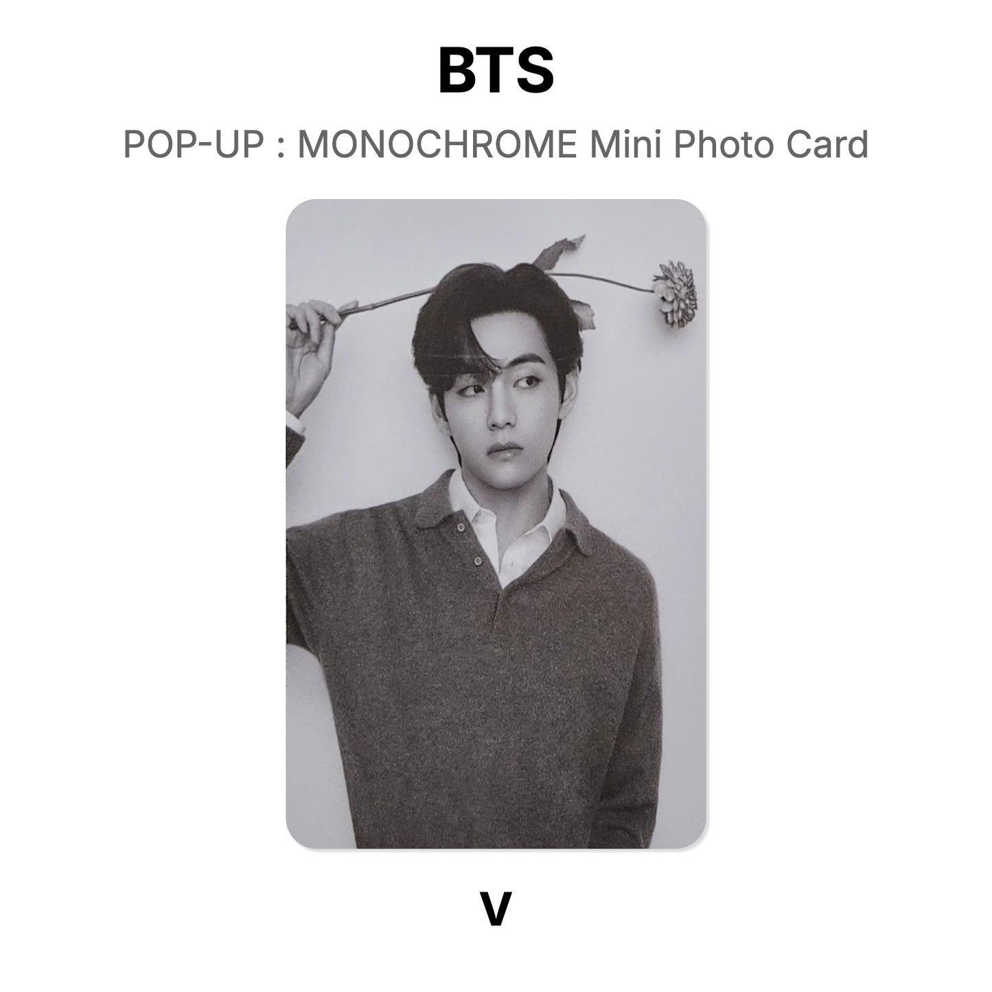 BTS POP-UP : MONOCHROME Mini Photo Card Offizielle Photocard