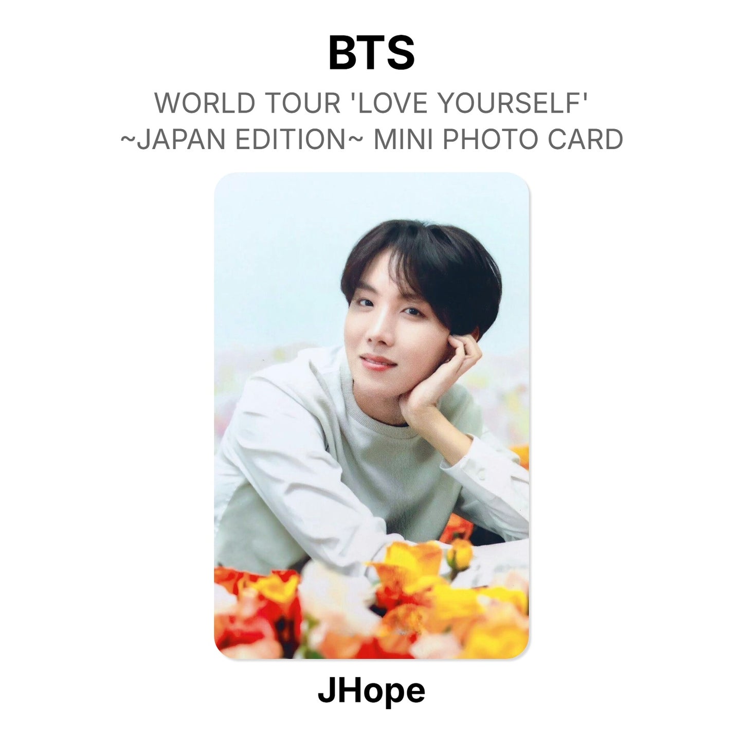 BTS WORLD TOUR 'LOVE YOURSELF'~JAPAN EDITION~ MINI PHOTO CARD photocard officielle