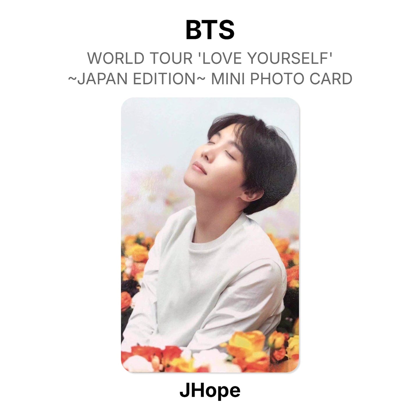 BTS WORLD TOUR 'LOVE YOURSELF'~JAPAN EDITION~ MINI PHOTO CARD photocard officielle