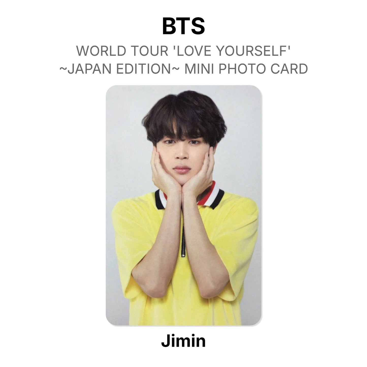 BTS WORLD TOUR 'LOVE YOURSELF'~JAPAN EDITION~ MINI PHOTO CARD photocard officielle
