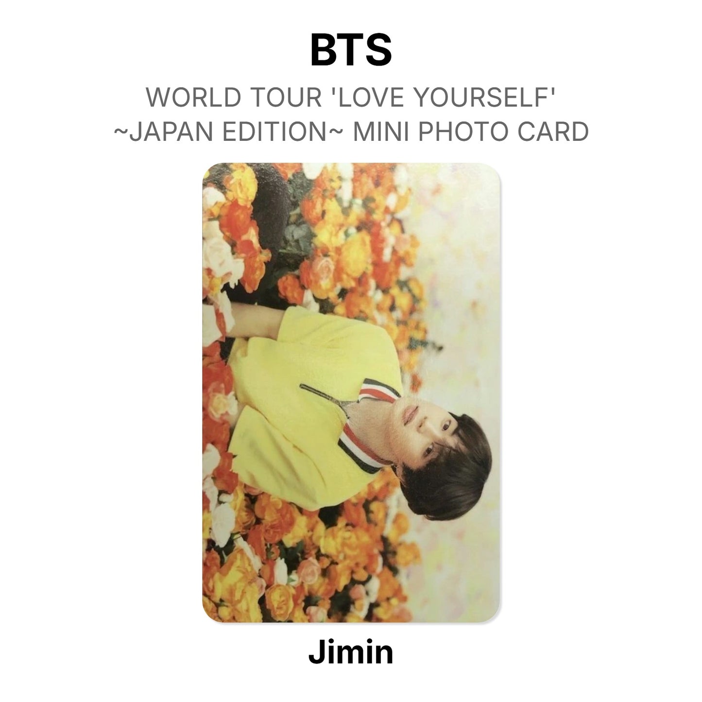 BTS WORLD TOUR 'LOVE YOURSELF'~JAPAN EDITION~ MINI PHOTO CARD photocard officielle