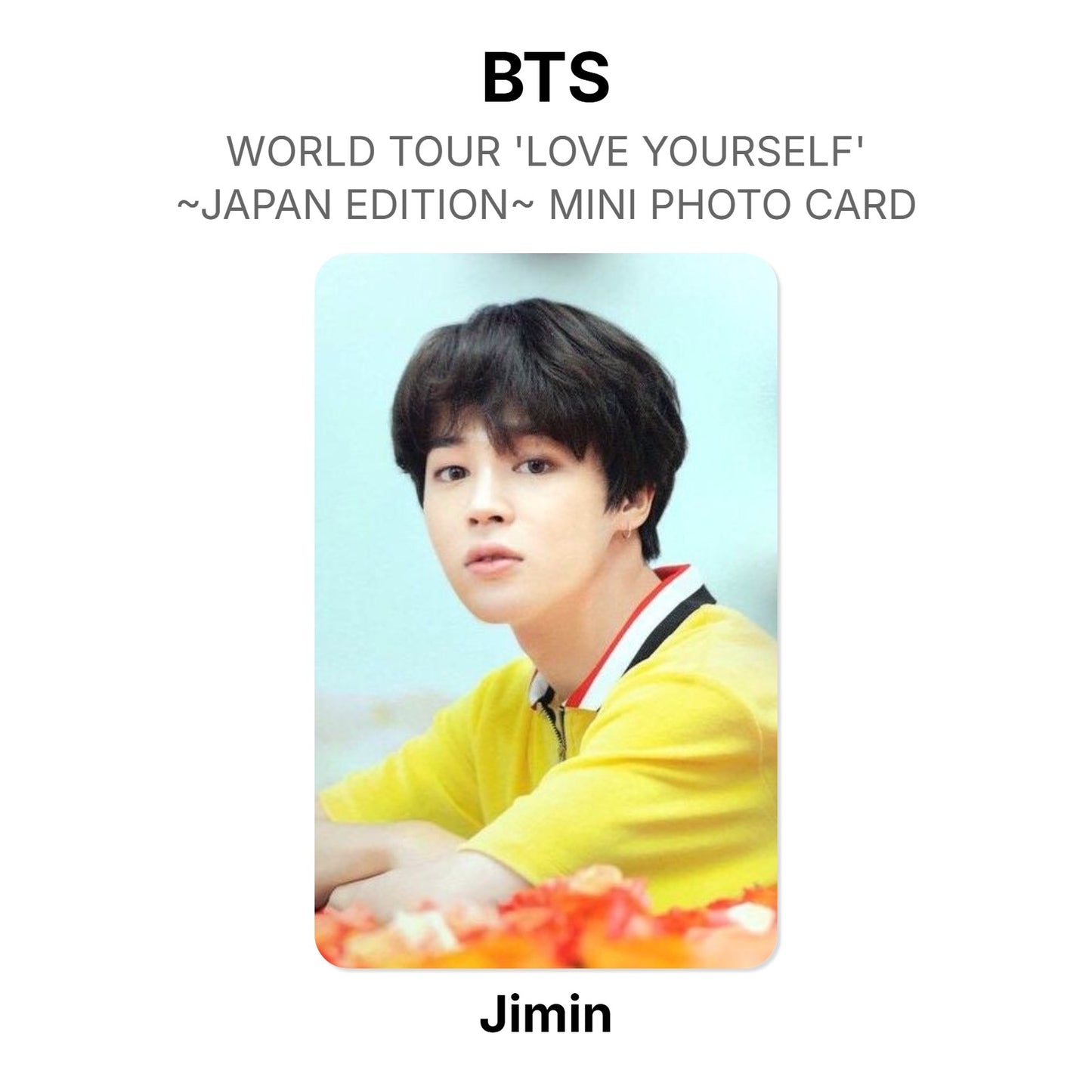 BTS WORLD TOUR 'LOVE YOURSELF'~JAPAN EDITION~ MINI PHOTO CARD photocard officielle