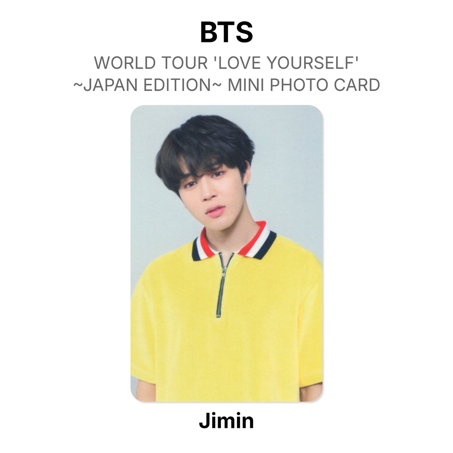 BTS WORLD TOUR 'LOVE YOURSELF'~JAPAN EDITION~ MINI PHOTO CARD photocard officielle