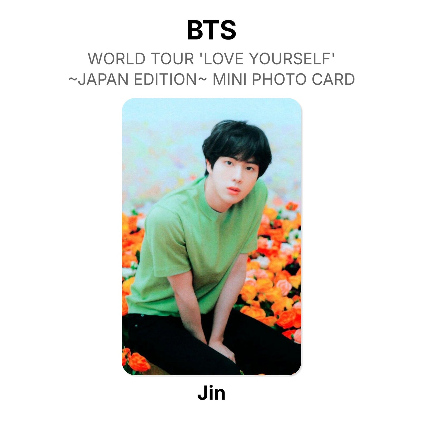 BTS WORLD TOUR 'LOVE YOURSELF'~JAPAN EDITION~ MINI PHOTO CARD photocard officielle