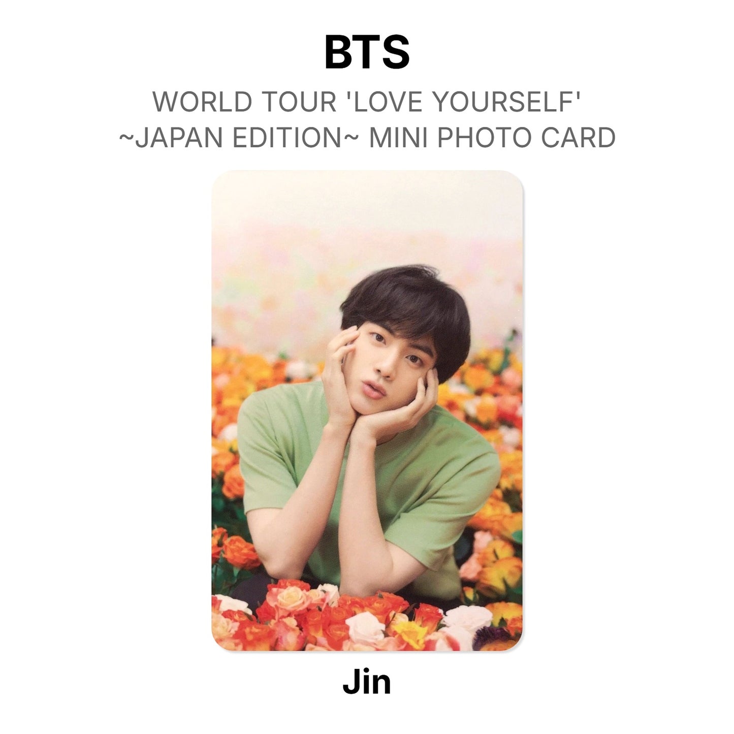 BTS WORLD TOUR 'LOVE YOURSELF'~JAPAN EDITION~ MINI PHOTO CARD photocard officielle