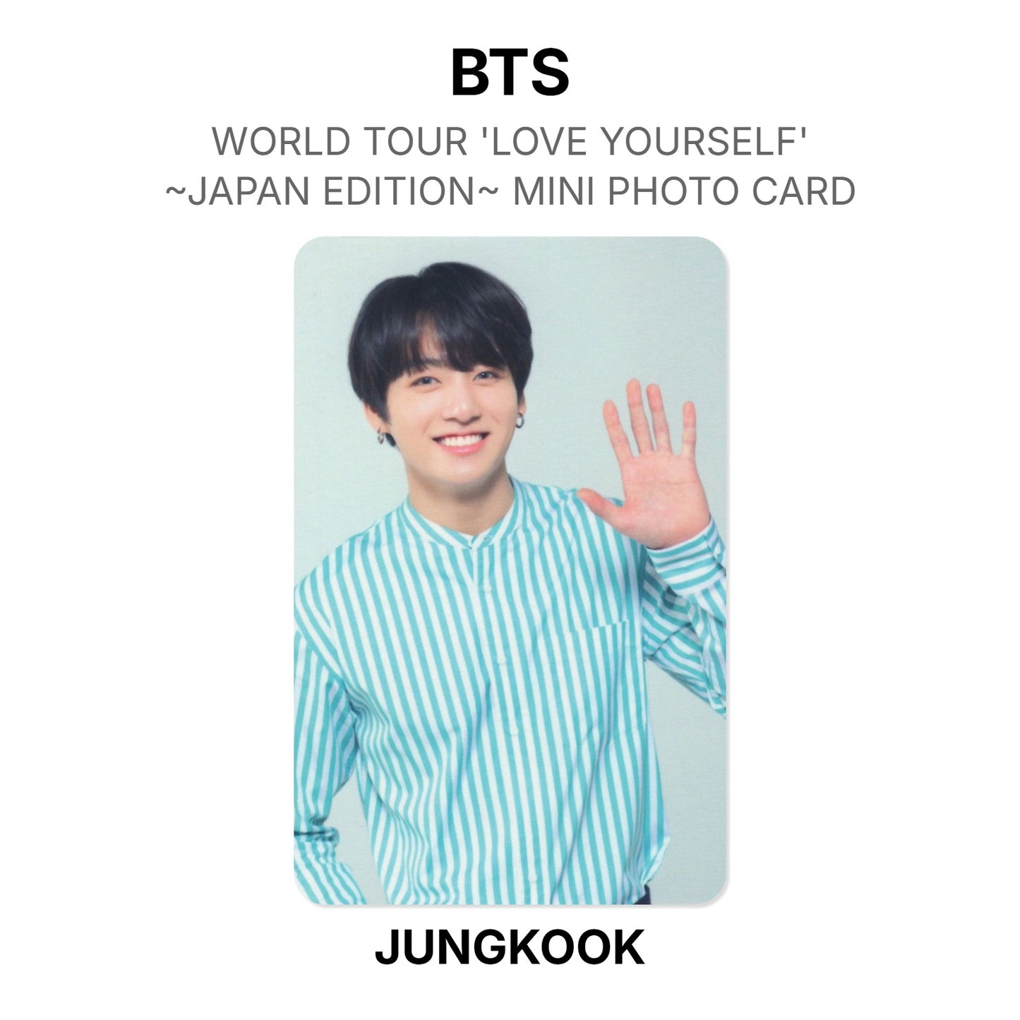 BTS WORLD TOUR 'LOVE YOURSELF'~JAPAN EDITION~ MINI PHOTO CARD photocard officielle