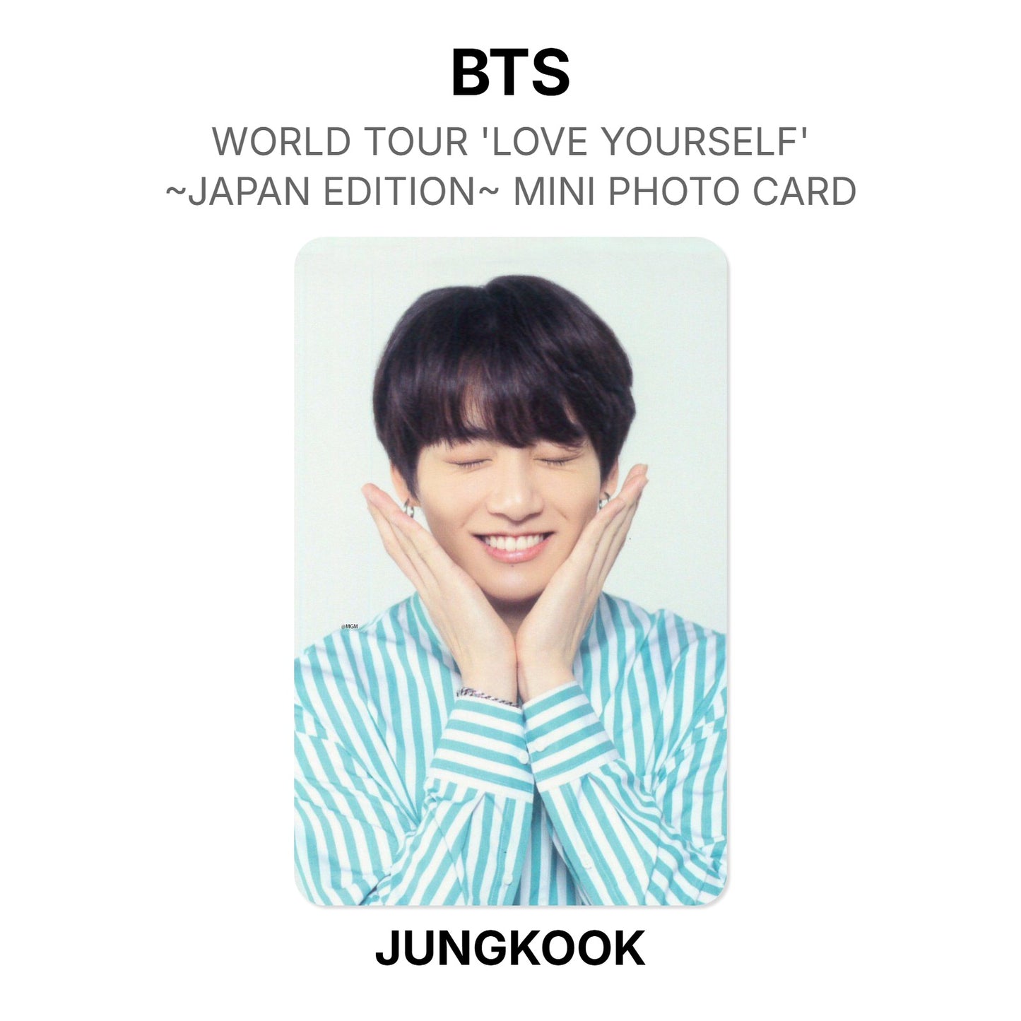 BTS WORLD TOUR 'LOVE YOURSELF'~JAPAN EDITION~ MINI PHOTO CARD photocard officielle