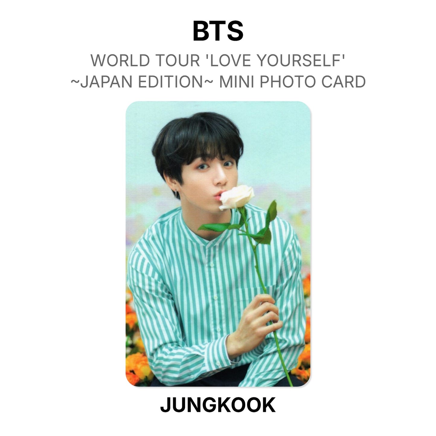 BTS WORLD TOUR 'LOVE YOURSELF'~JAPAN EDITION~ MINI PHOTO CARD photocard officielle