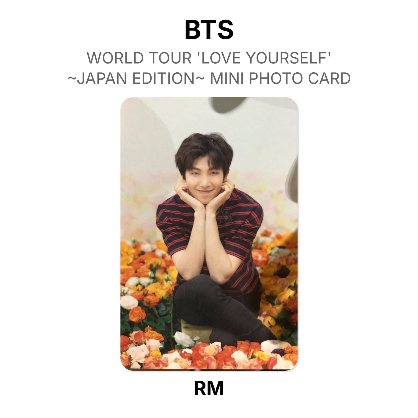 BTS WORLD TOUR 'LOVE YOURSELF'~JAPAN EDITION~ MINI PHOTO CARD photocard officielle