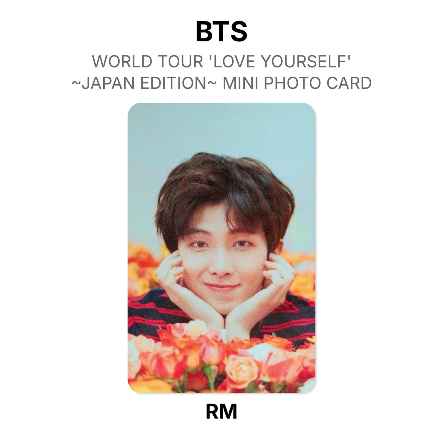 BTS WORLD TOUR 'LOVE YOURSELF'~JAPAN EDITION~ MINI PHOTO CARD photocard officielle
