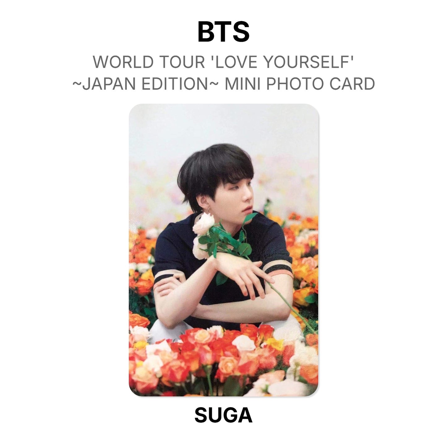 BTS WORLD TOUR 'LOVE YOURSELF'~JAPAN EDITION~ MINI PHOTO CARD photocard officielle