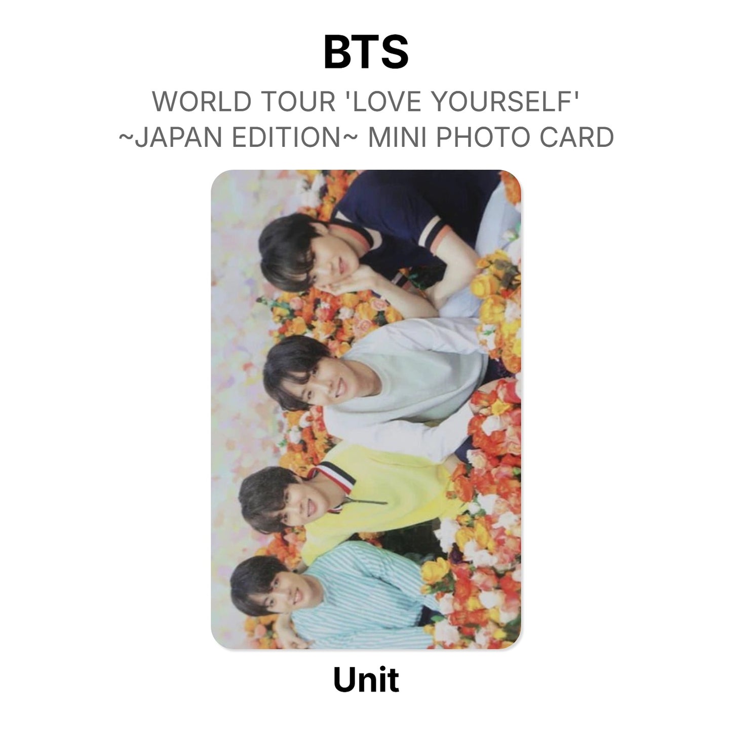 BTS WORLD TOUR 'LOVE YOURSELF'~JAPAN EDITION~ MINI PHOTO CARD photocard officielle