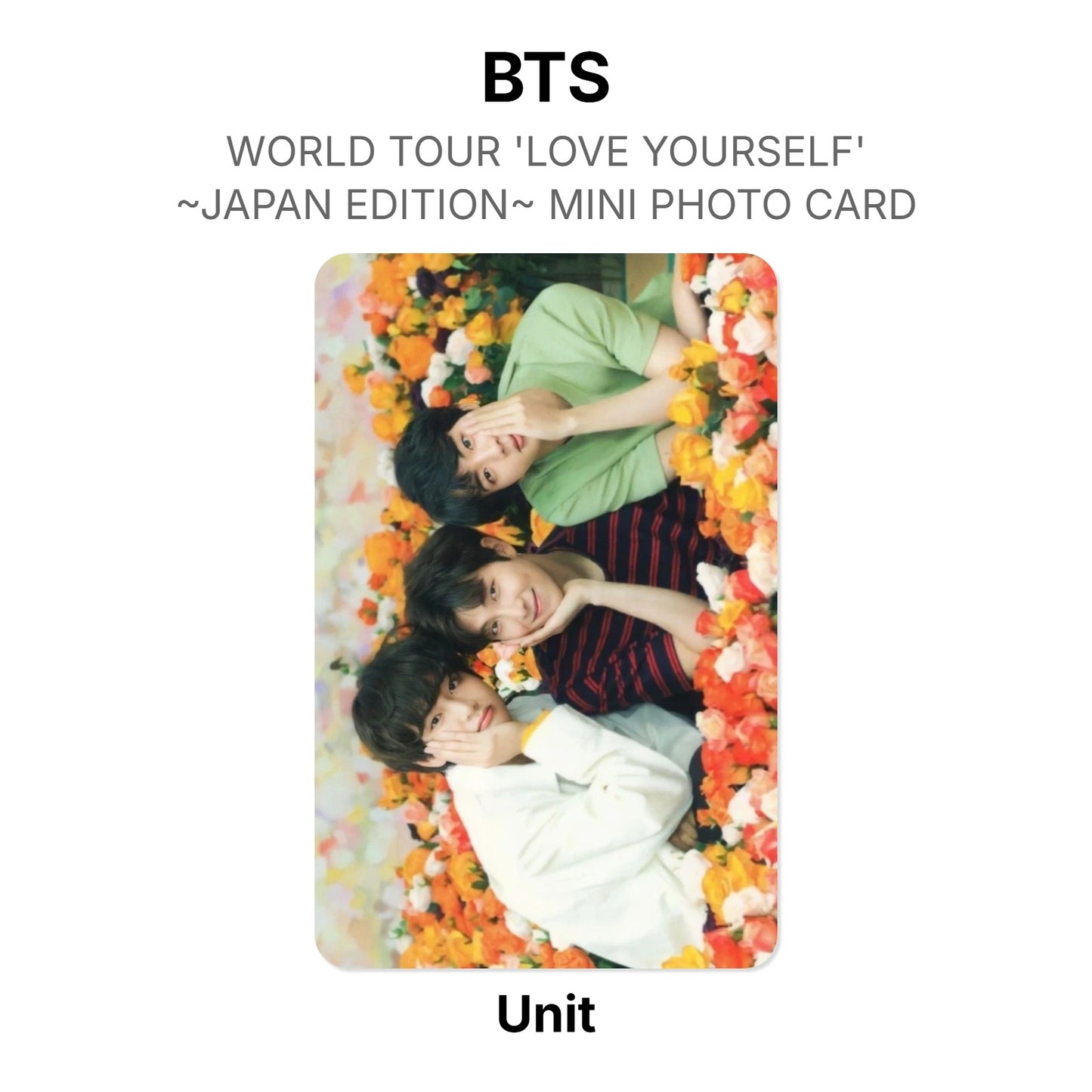 BTS WORLD TOUR 'LOVE YOURSELF'~JAPAN EDITION~ MINI PHOTO CARD photocard officielle