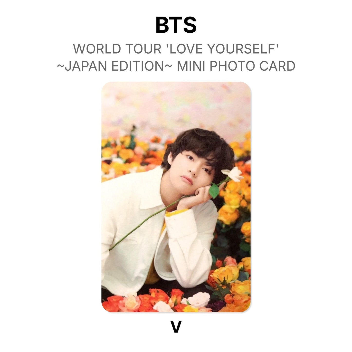 BTS WORLD TOUR 'LOVE YOURSELF'~JAPAN EDITION~ MINI PHOTO CARD photocard officielle