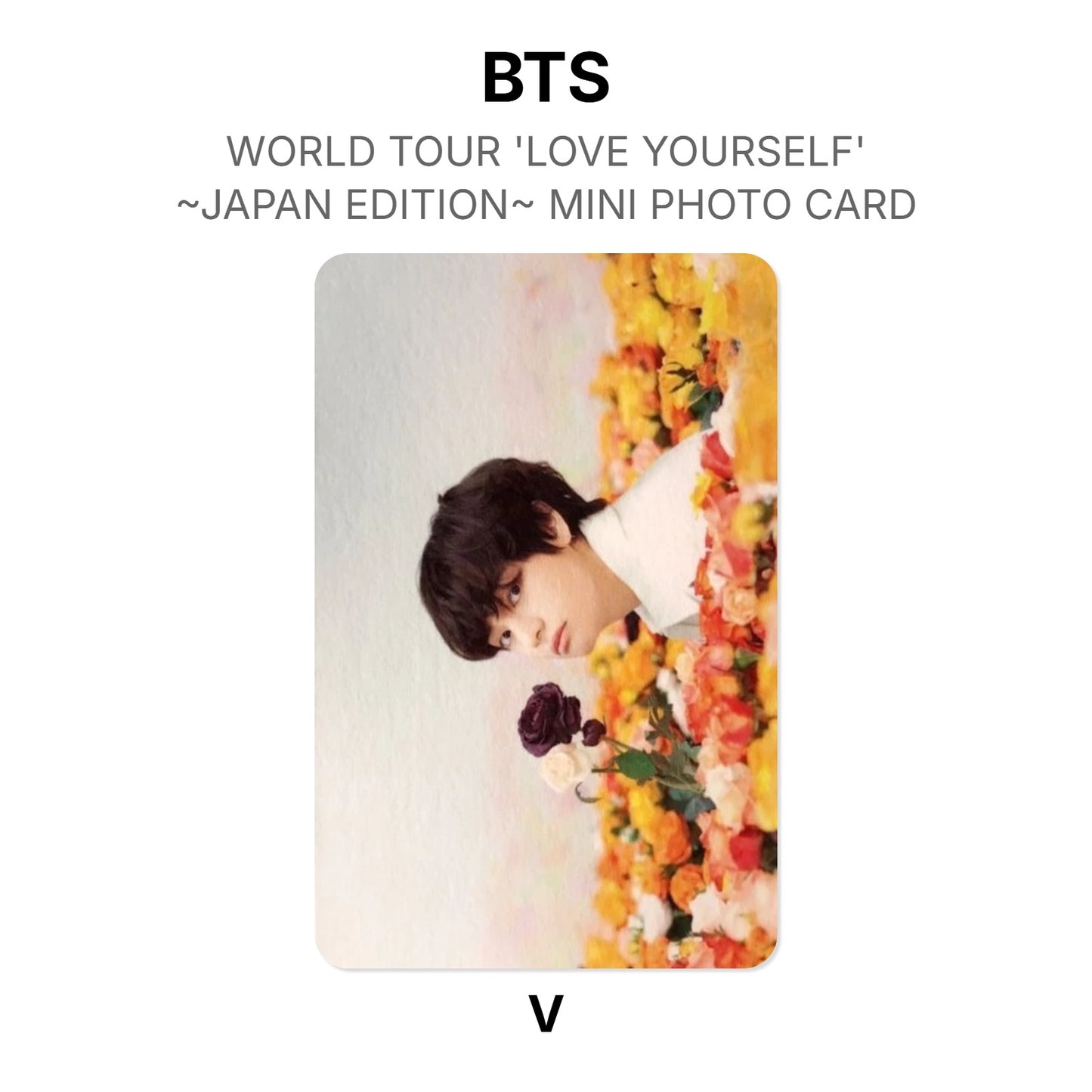 BTS WORLD TOUR 'LOVE YOURSELF'~JAPAN EDITION~ MINI PHOTO CARD photocard officielle