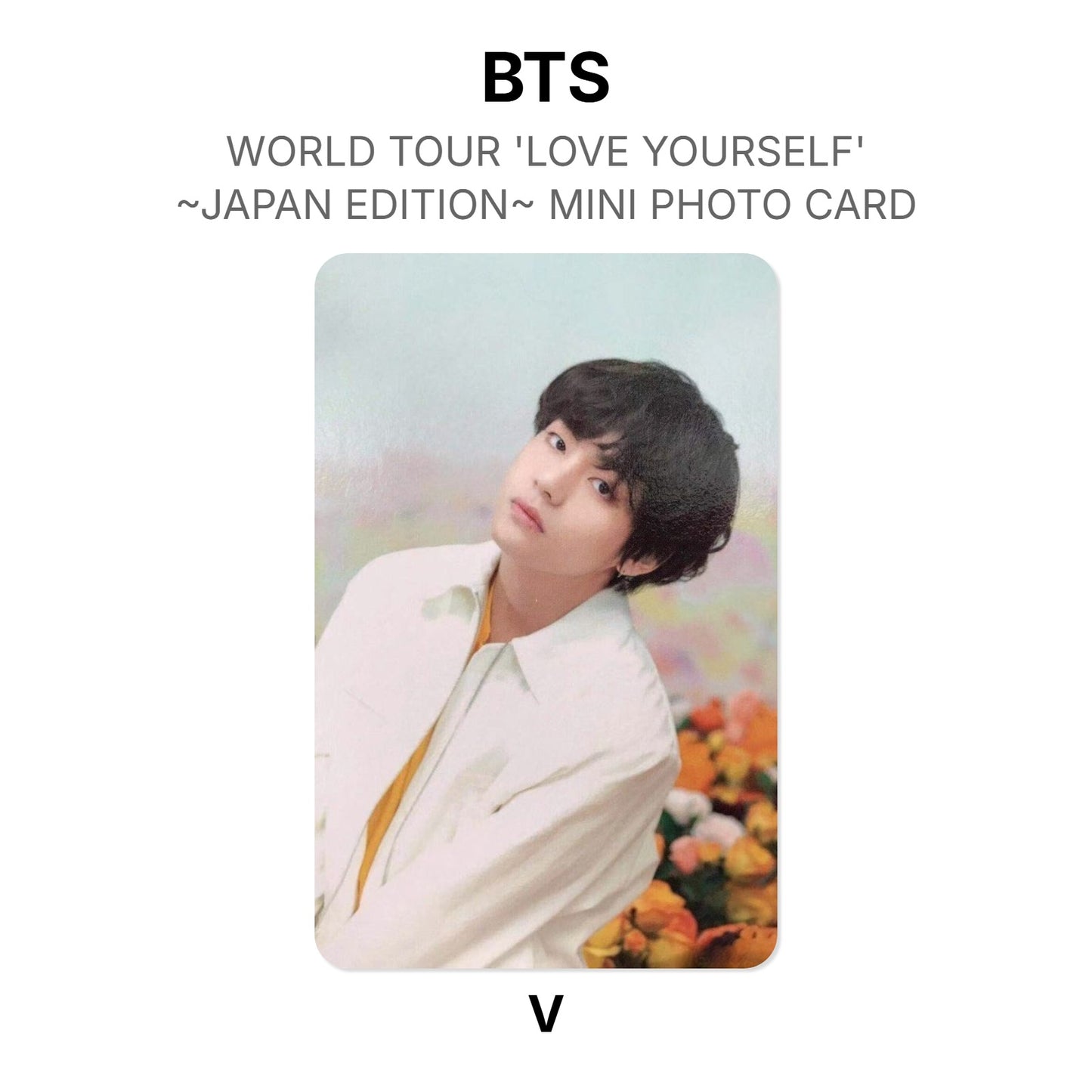 BTS WORLD TOUR 'LOVE YOURSELF'~JAPAN EDITION~ MINI PHOTO CARD photocard officielle