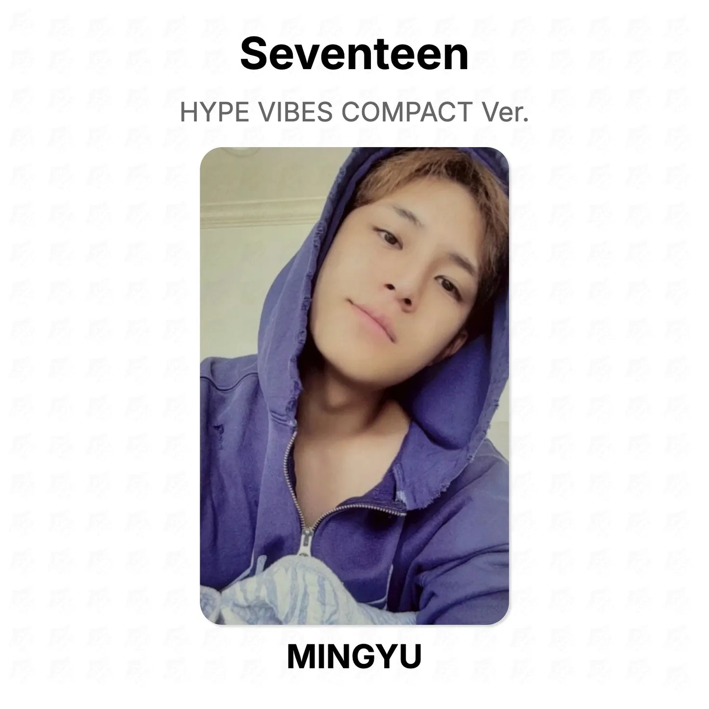Seventeen HYPE VIBES COMPACT Ver. Official Photocard