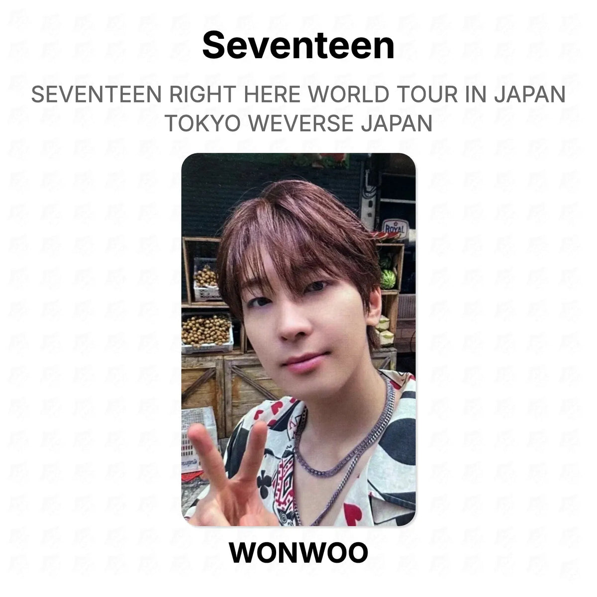 Seventeen RIGHT HERE WORLD TOUR IN JAPAN TOKYO WEVERSE JAPAN Official Photocard