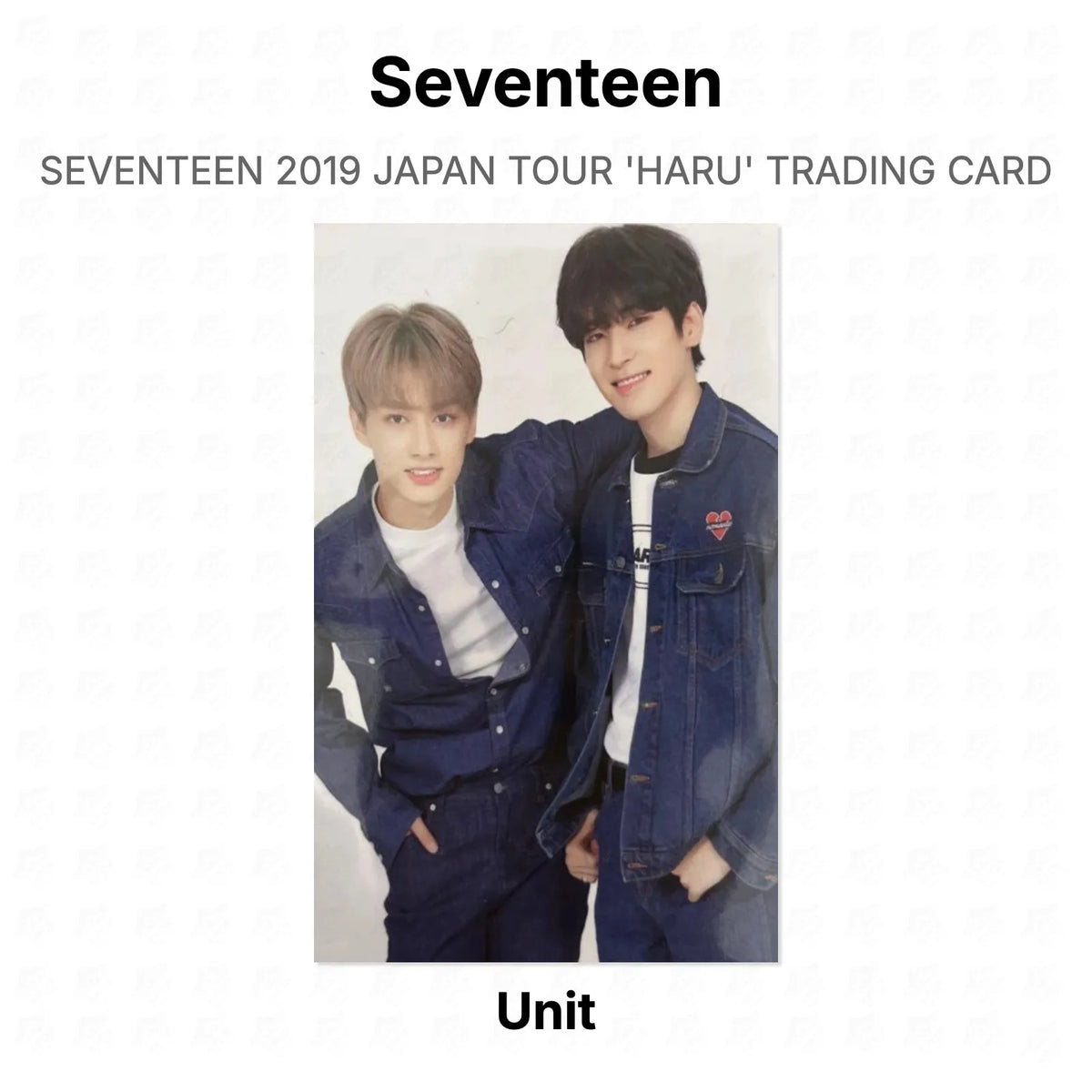Seventeen 2019 JAPAN TOUR 'HARU' TRADING CARD Official Photocard