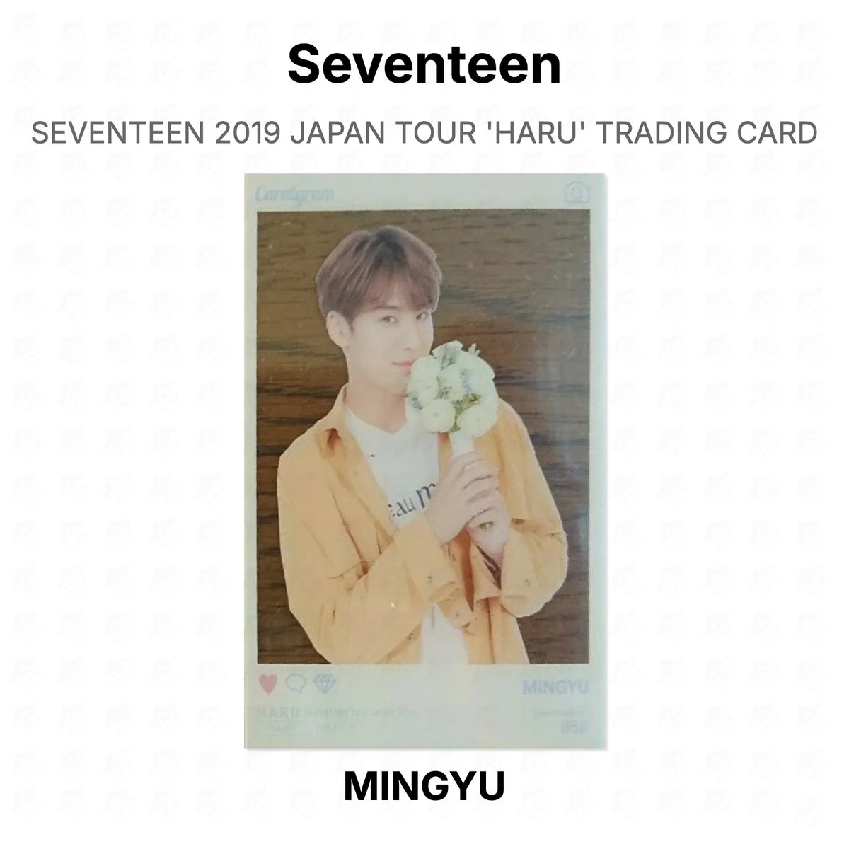 Seventeen 2019 JAPAN TOUR 'HARU' TRADING CARD Official Photocard