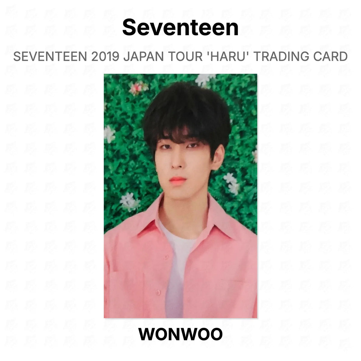 Seventeen 2019 JAPAN TOUR 'HARU' TRADING CARD Official Photocard
