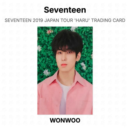 Seventeen 2019 JAPAN TOUR 'HARU' TRADING CARD Official Photocard