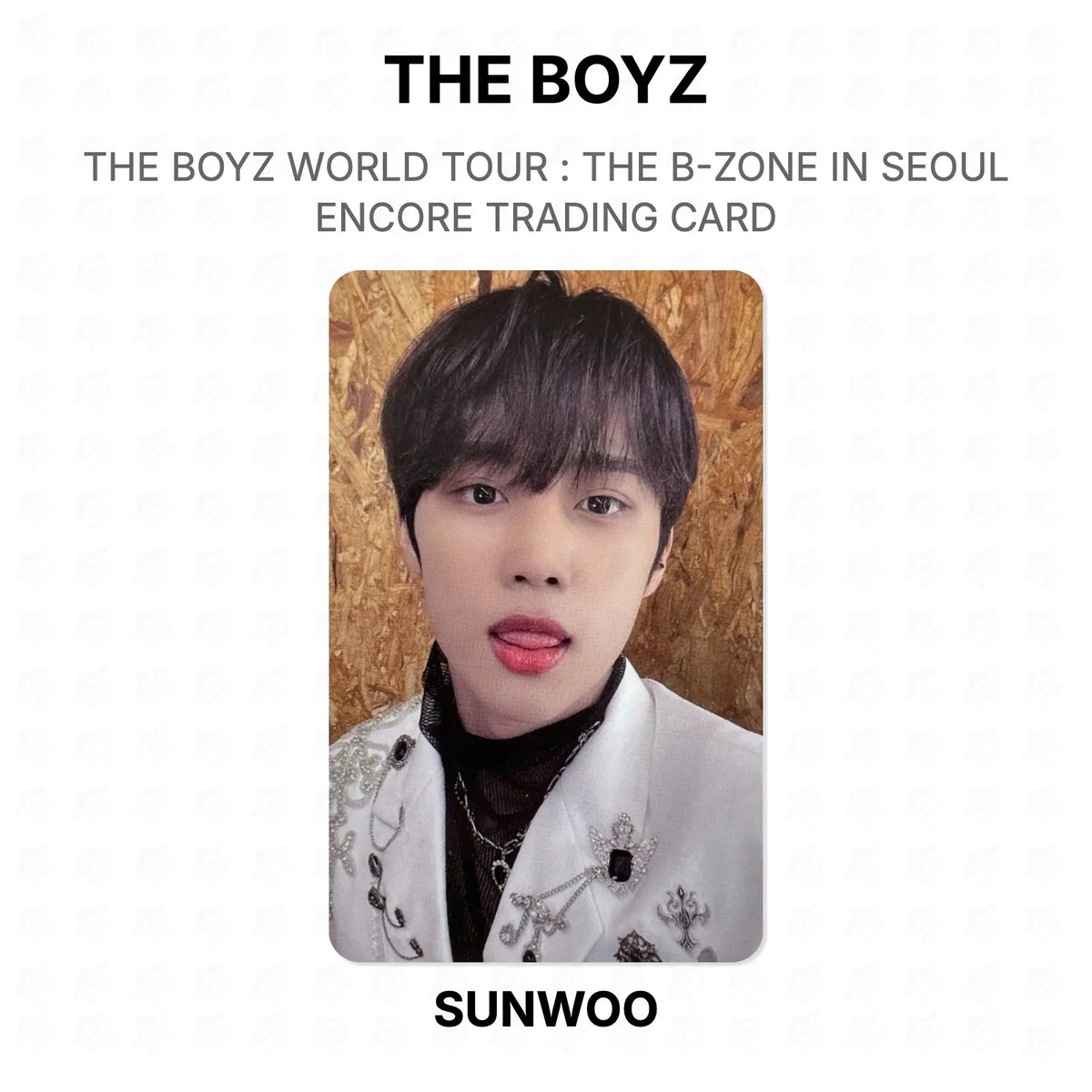 THE BOYZ WORLD TOUR : THE B-ZONE IN SEOUL ENCORE TRADING CARD Official Photocard