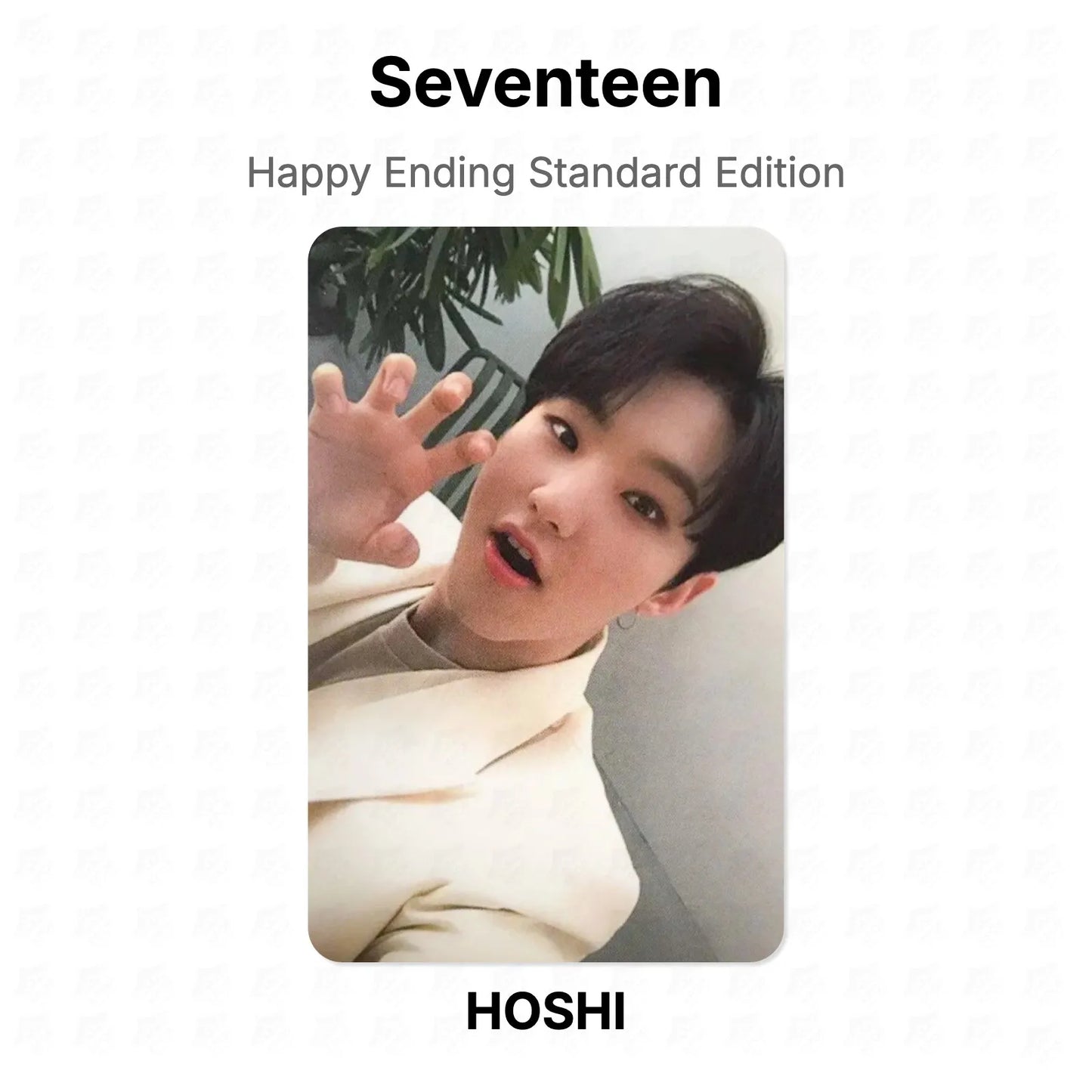 Seventeen Happy Ending Standard Edition Official Photocard