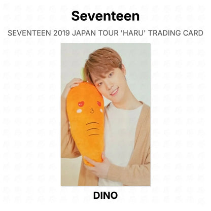 Seventeen 2019 JAPAN TOUR 'HARU' TRADING CARD Official Photocard