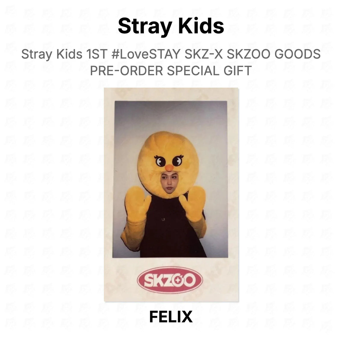 Stray Kids 1ST #LoveSTAY SKZ-X SKZOO GOODS PRE-ORDER SPECIAL GIFT Official Photocard