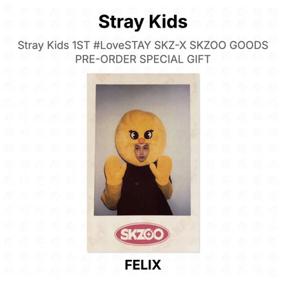 Stray Kids 1ST #LoveSTAY SKZ-X SKZOO GOODS PRE-ORDER SPECIAL GIFT Official Photocard