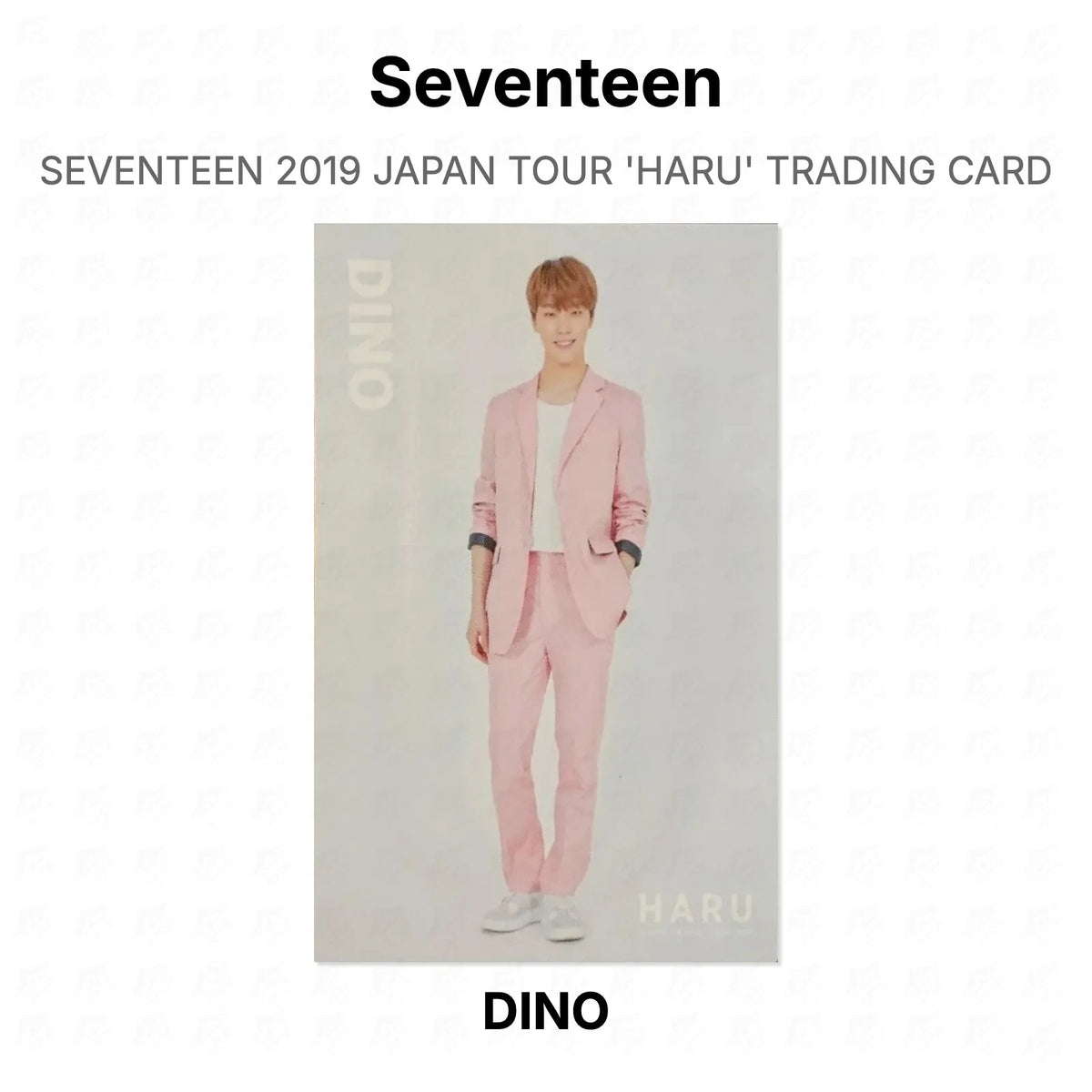 Seventeen 2019 JAPAN TOUR 'HARU' TRADING CARD Official Photocard