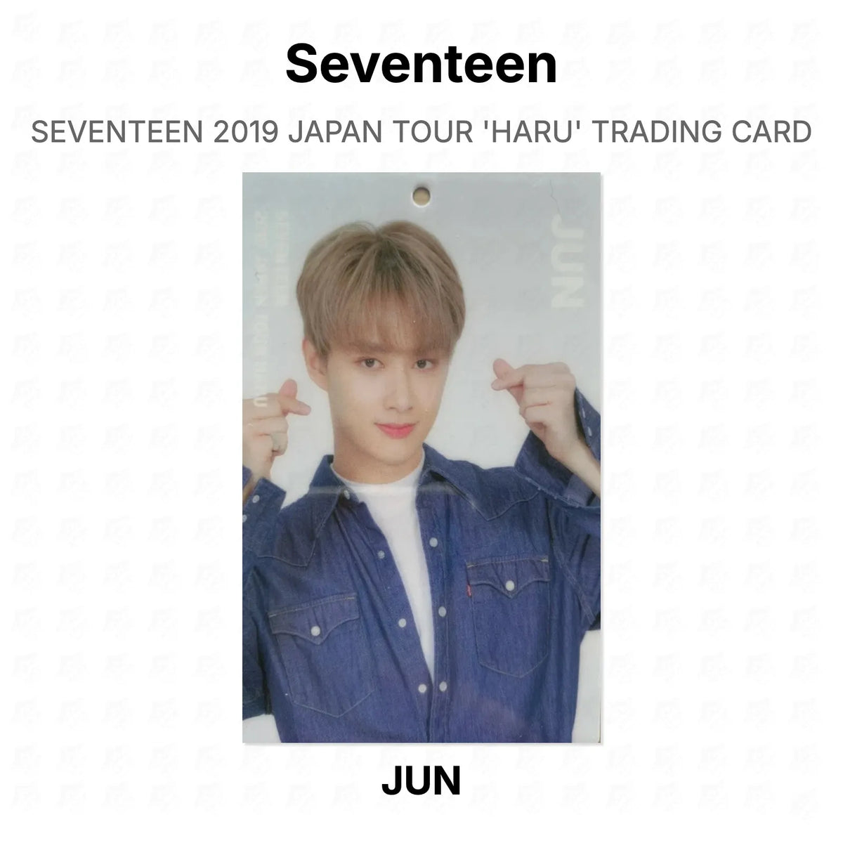 Seventeen 2019 JAPAN TOUR 'HARU' TRADING CARD Official Photocard