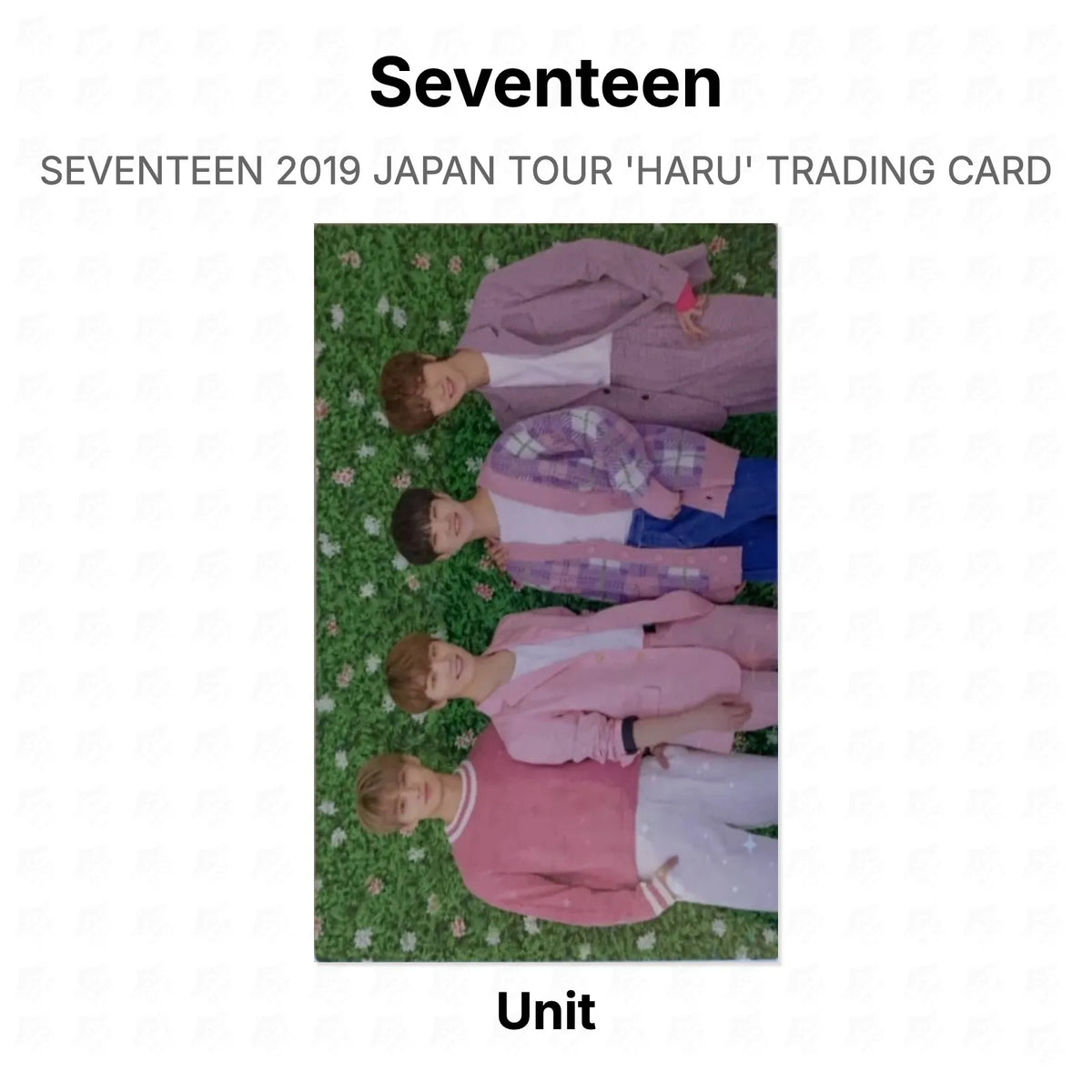 Seventeen 2019 JAPAN TOUR 'HARU' TRADING CARD Official Photocard